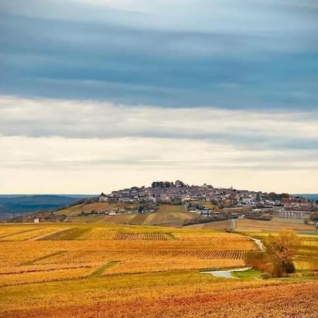 Gite Entre Vignes Et Loire Thauvenay Extérieur photo